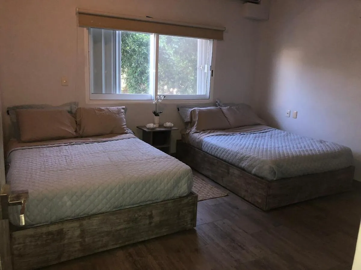 Appartamento Loft On 5Th Avenue Playa del Carmen Messico