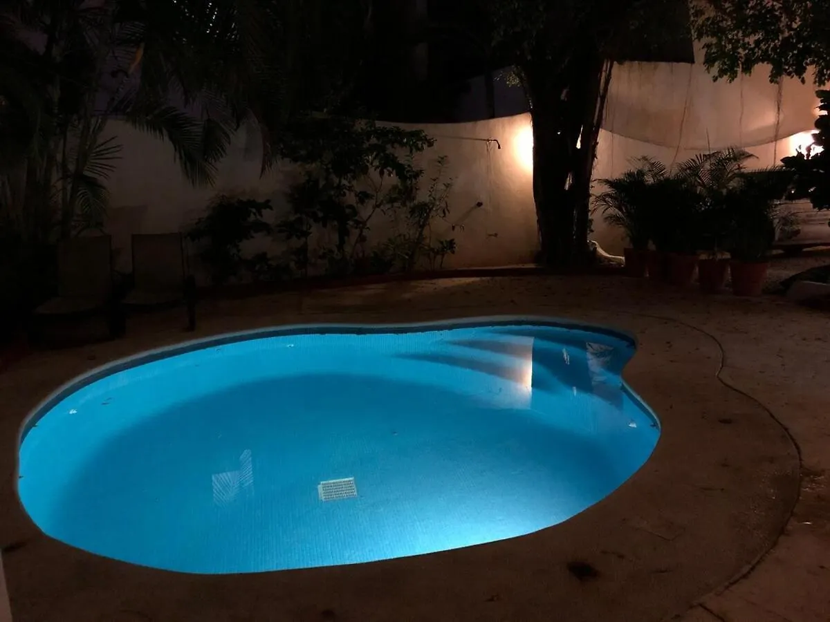 Appartamento Loft On 5Th Avenue Playa del Carmen